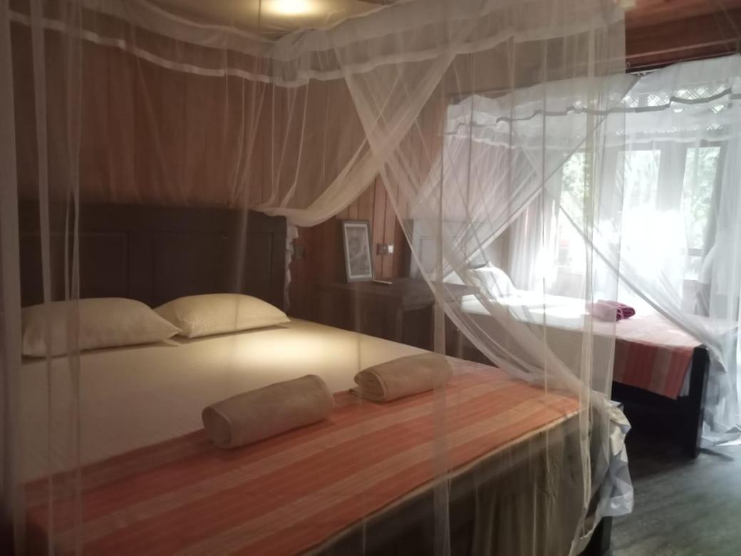 Piumi House Vendégház Dikwella Kültér fotó