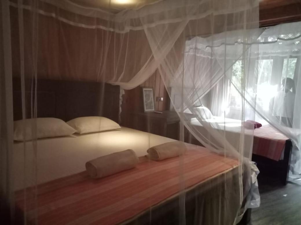 Piumi House Vendégház Dikwella Kültér fotó
